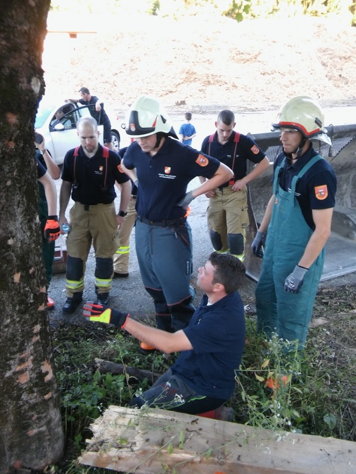 20160719 Baumschnitt Schulung Riedenburgkaserne (2)
